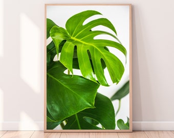 Monstera Leaf Print, Modern Tropical Wall Art (Digital Download)