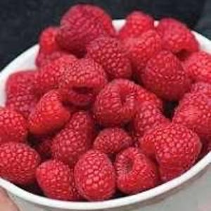 K&ouml;nnte beinhalten: Eine wei&szlig;e Sch&uuml;ssel voller frischer, reifer roter Himbeeren. Die Himbeeren sind im Fokus und zeigen ihre strukturierte Oberfl&auml;che und leuchtende Farbe. Die Sch&uuml;ssel wird vor einem dunklen Hintergrund gehalten.