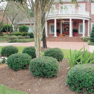 May include: Exterior view of a brick house with a circular balcony supported by white columns. The front yard features neatly trimmed green bushes, a tree, and a brick driveway. The entrance has a wooden door with a wreath.