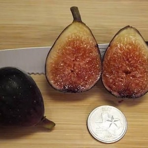 May include: A whole fig and two fig halves, cut open to reveal the fruit's interior, sit on a wooden surface with a knife. The figs are dark purple with a reddish-brown interior. A coin is next to the figs.