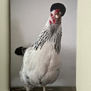 5&quot; x 7&quot; x 0.5&quot; Canvas Chicken Art - Serious Hen in Hat