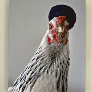 11&quot; x 14&quot; Canvas Mounted Photo - Chicken Art - Judgey Hen in Blue Hat