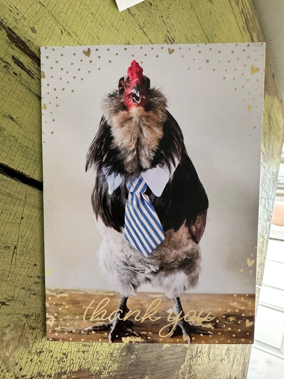chicken with a tie