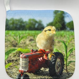 May include: A red toy tractor with a yellow baby chick sitting on the back. The tractor is in a field of green corn plants.