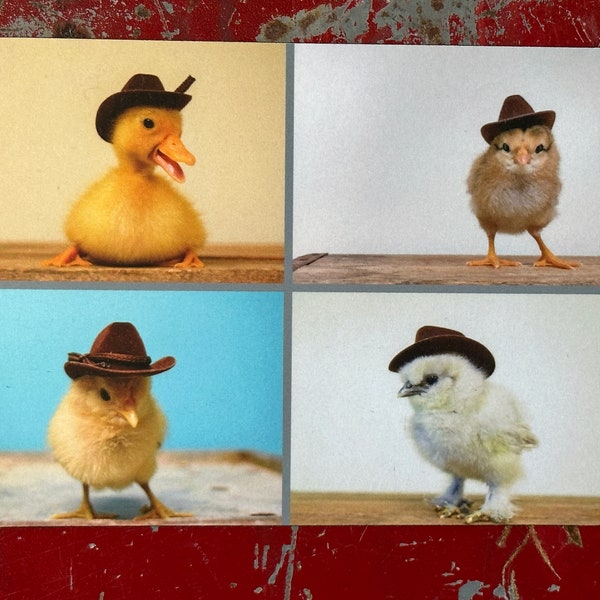 4" x 5.5" Magnet - cowboy collage of duckling and chicks in cowboy hats