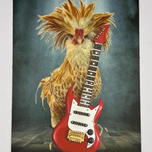 4&quot; x 5.5&quot; magnet of Polish Rooster with  guitar - Chicken art Rock and Roll