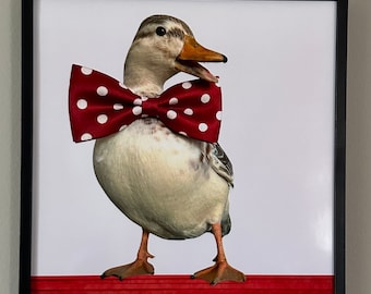 duck with bow tie
