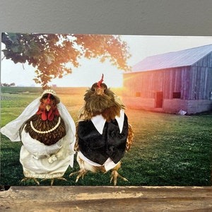 5 x 7 Card Wedding Chickens Dressed up chickens in front of barn wearing wedding attire zdjęcie 1