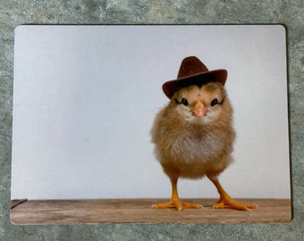 4" x 5.5" Magnet - chick in cowboy hat