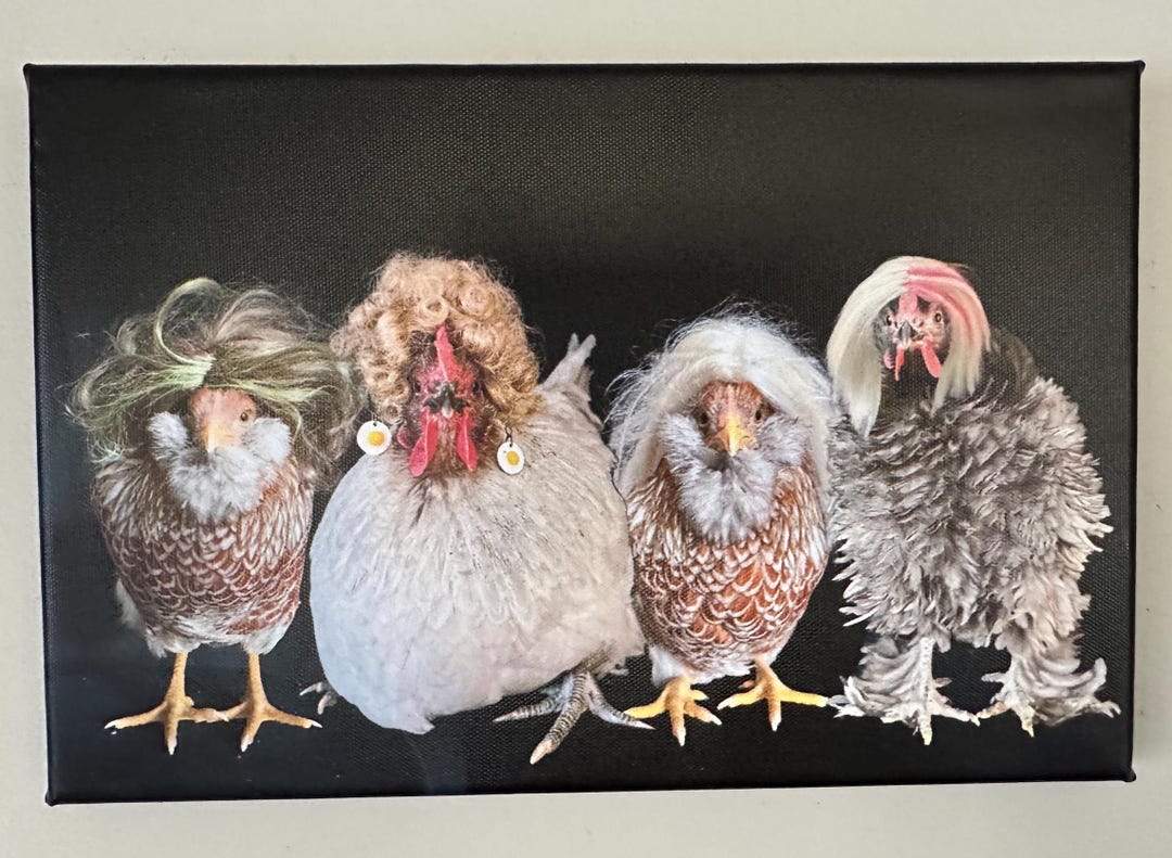 Orecchini A Pollo Miniblings - Simpatici Pendenti A Forma Di Gallina E Uovo, Gioielli Artigianali Fatti A Berlino - 5