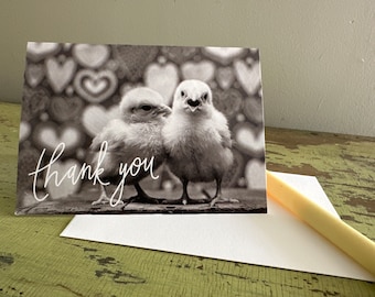 3" x 5" Card - thank you! Sweet chicks