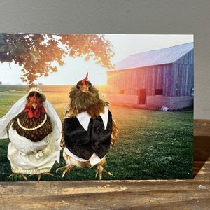 5 x 7 Card Wedding Chickens Dressed up chickens in front of barn wearing wedding attire zdjęcie 3