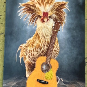 5&quot; x 7&quot; blank greeting card - Country Willie Nelson Chicken with Guitar