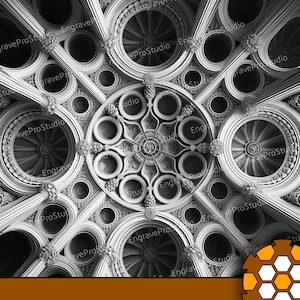 Puede incluir: Foto en blanco y negro de un techo abovedado con intrincados patrones circulares y diseños.