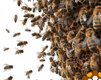 Archivo descargable digital / Archivo de grabado láser / Enjambre de abejas en la colmena de miel / Láser listo / Grabado PNG / Grabado láser de ilusión 3D