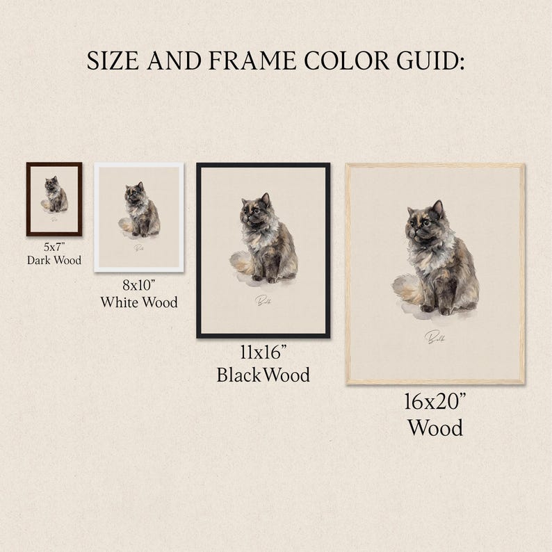 The image is a size and frame color guide for a painting of a cat. It provides the dimensions and color options for different frame sizes, including 5x7", 8x10", 11x16", and 16x20" frames.