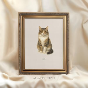 Custom Watercolor Cat Portrait, Hand Drawn Cat Lover Gift, Personalized Cat Painting from Photo, Pet Loss Illustration, Cat Memorial Gift