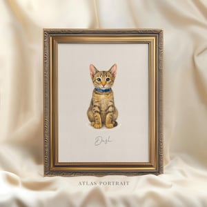 Custom Watercolor Cat Portrait, Hand Drawn Cat Lover Gift, Personalized Cat Painting from Photo, Pet Loss Illustration, Cat Memorial Gift