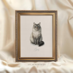 Custom Watercolor Cat Portrait, Hand Drawn Cat Lover Gift, Personalized Cat Painting from Photo, Pet Loss Illustration, Cat Memorial Gift