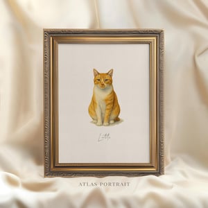 Custom Watercolor Cat Portrait, Hand Drawn Cat Lover Gift, Personalized Cat Painting from Photo, Pet Loss Illustration, Cat Memorial Gift