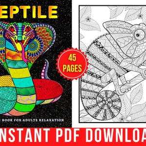 Reptile Coloring Pages | Snake Coloring Book for Adults and Teens | 50 Digital Coloring Pages (Printable PDF / Instant Download)