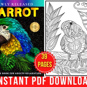 Parrot Coloring Pages | Parrot Coloring Book for Adults and Teens | 40 Digital Coloring Pages (Printable PDF / Instant Download)