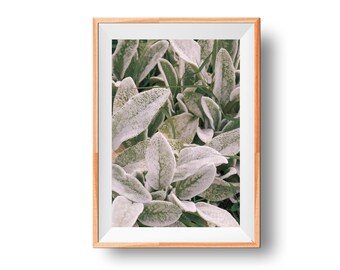 Greenery Photo Print, Nature Artwork, Plant Poster, Green Leaf Decor, Botanical Wall Print, Nature Inspired Artwork, Nature Photography