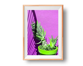 Aloe Print, Botanical Photo Art, Refreshing Wall Photo, Plant Art, Fresh Print, Greenery Photo, Aloe Picture, Plant Photography Print