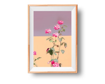 Roze bloesem print, rozentuin print, bloem slaapkamer decor, Blush print, botanische slaapkamer display, tuin print, tuin bloem poster cadeau