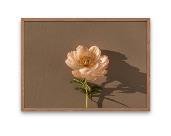 Photo Print Of A Delicate Beige Peony Flower In Different Sizes ~ Perfect for Living Room Wall Poster