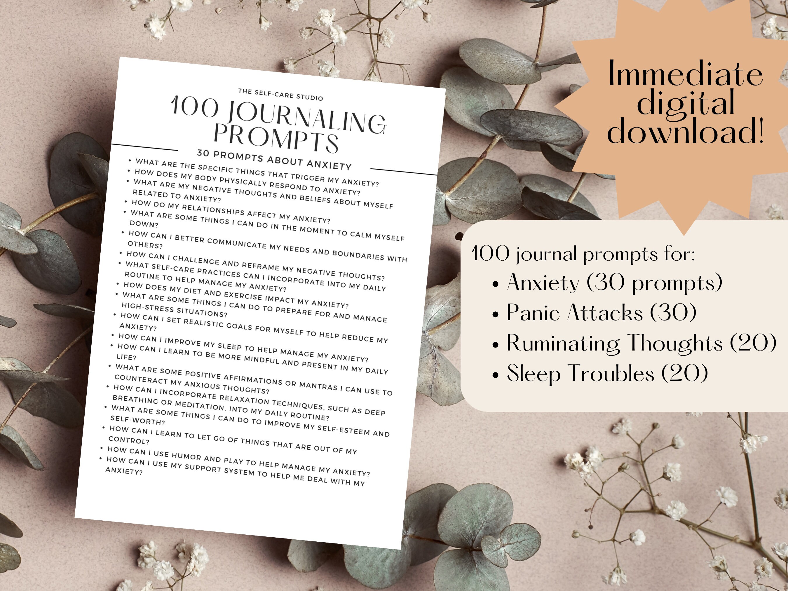 100 Journal Prompts for Anxiety, Panic Attacks, Insomnia, Ruminating ...