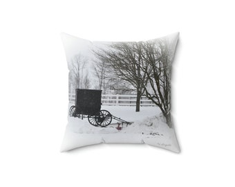 Decorative Square Pillow, from Original Amish Photograph