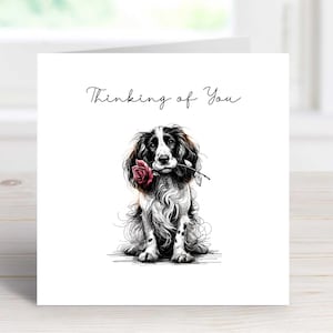 Cartão Pensando em Você Cartão Springer Spaniel Inglês Saudações Sentimentais