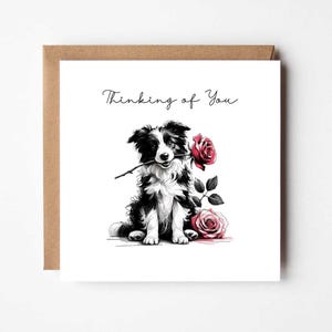 Carte Pensées à vous Carte de voeux sentimentale Border Collie
