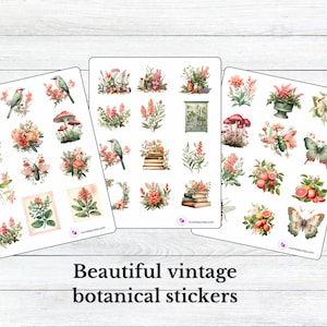 Hojas de pegatinas vintage de melocotón botánico y salvia para planificadores, diarios, cartas, tazas, computadoras portátiles y más