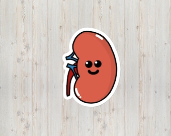 Cute Smiling Kidney Organ