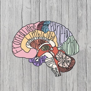 Impresión digital del cerebro etiquetado