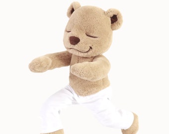 Meddy Teddy