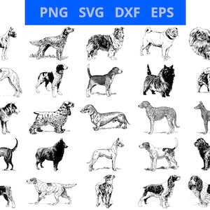 35 dog drawing svg bundle, dog illustrations bundle svg, dog design bundle svg, svg dxf eps png, dog breed design bundle