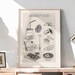 see more listings in the Dibujos de comida section
