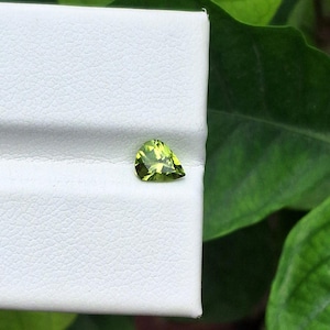 May include: A pear-shaped, light green gemstone, likely peridot, rests on a white textured surface. The gemstone is set against a backdrop of green foliage, highlighting its vibrant color and clarity. This gemstone is ideal for jewelry.