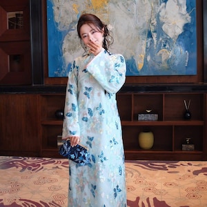 May include: A light blue, long-sleeved dress with butterfly and floral patterns. The dress has a high collar and is paired with a dark blue clutch. The dress is floor-length and has a teal-colored underskirt. The background features a large abstract painting.
