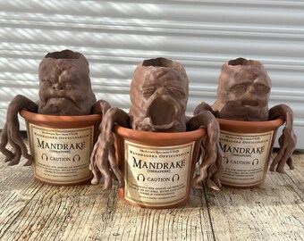 Pot de fleur Mandragore, Harry potter, Mandrake Planter