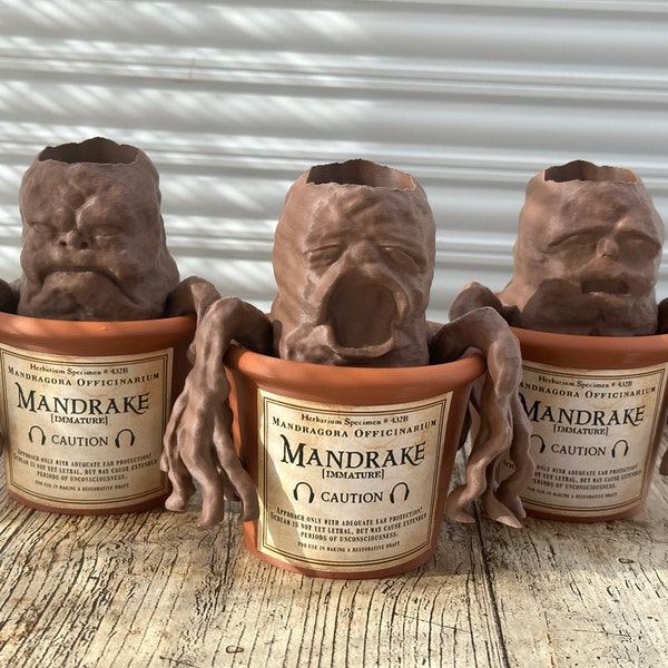 Pot de fleur Mandragore, Harry potter, Mandrake Planter