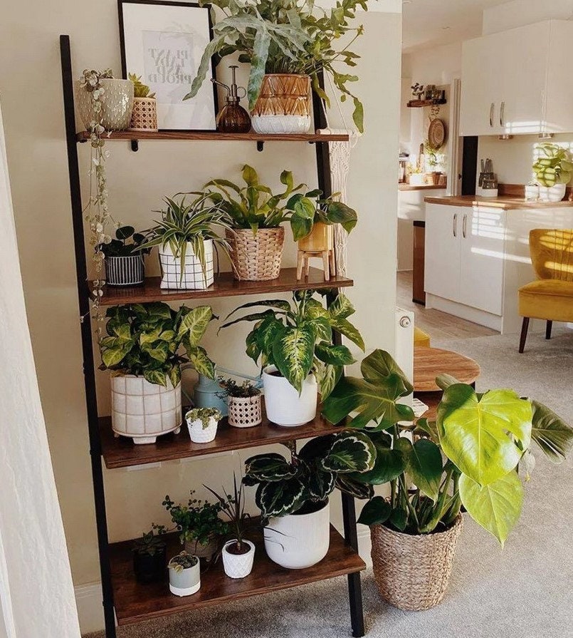 Industrial 4 Tier Bookshelf, 4 Tier Ladder Shelf, Rustic Wall Shelf