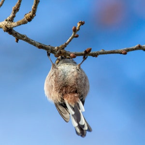 Hang In There, Baby!