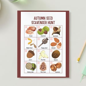 Könnte beinhalten: Eine druckbare Herbst-Samen-Schnitzeljagd-Checkliste mit Illustrationen verschiedener Samen und Nüsse, darunter Pekannuss, Kastanie, Buche, Ahornsamen, Mohnsamen, Mandel, Eichel, Pinienkern, Walnuss, Hickorynuss, Tannenzapfen und Haselnuss.