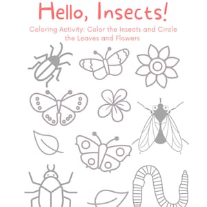 Insect Coloring Worksheet Nature Worksheet Insect Home School Insect Activity