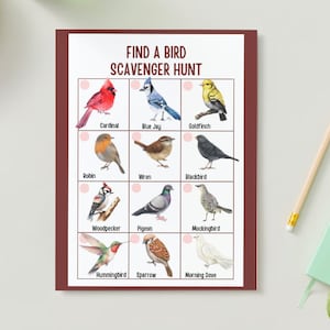 Bird Identification Scavenger Hunt | Birding Guide for Kids | Digital Download