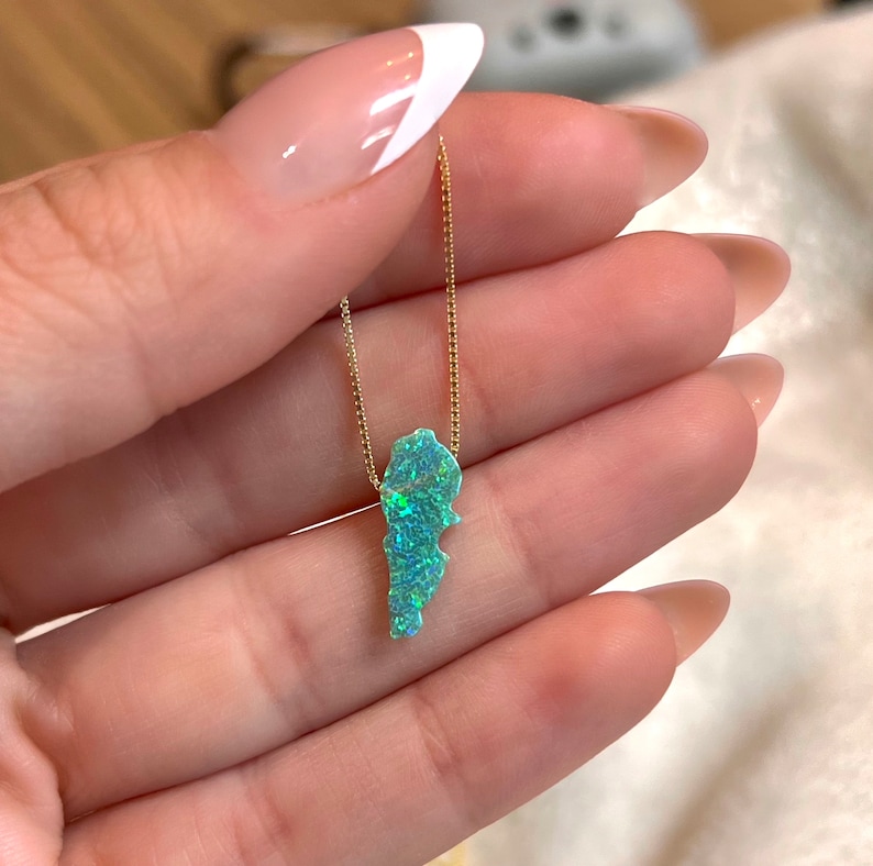 Puede incluir: Un collar dorado con un colgante con forma de pa&iacute;s, con una piedra azul-verde brillante e iridiscente. El colgante cuelga de una delicada cadena. El collar se sostiene en una mano.